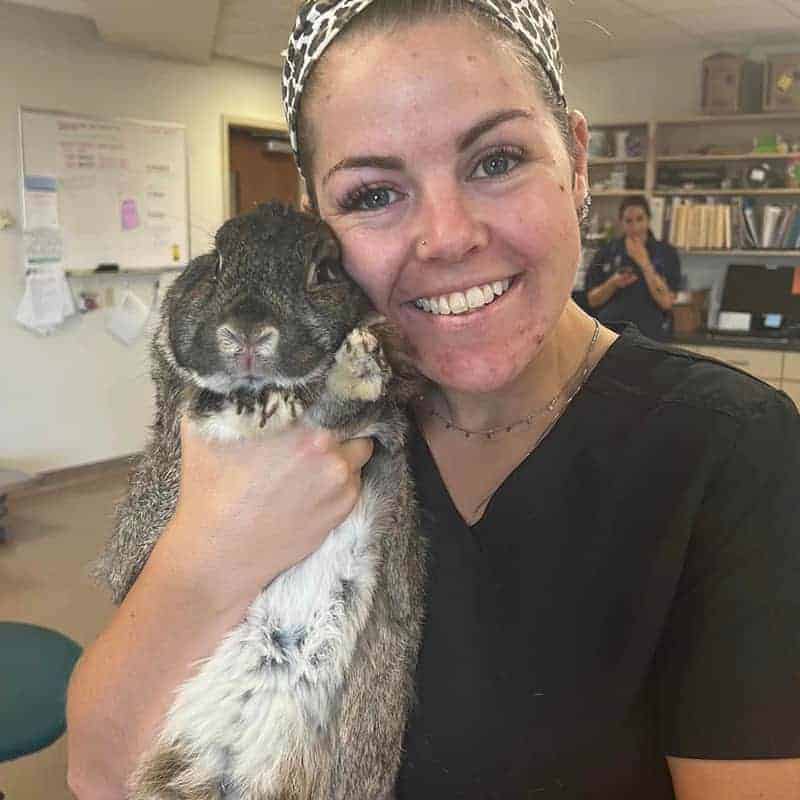 Small animal veterinary care