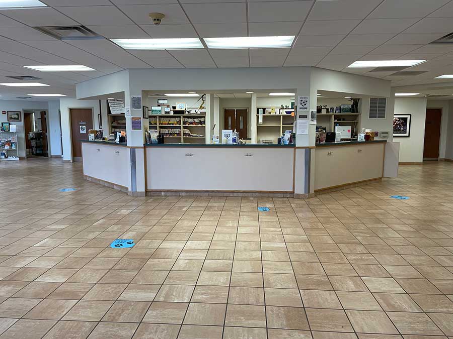 Our reception desk!