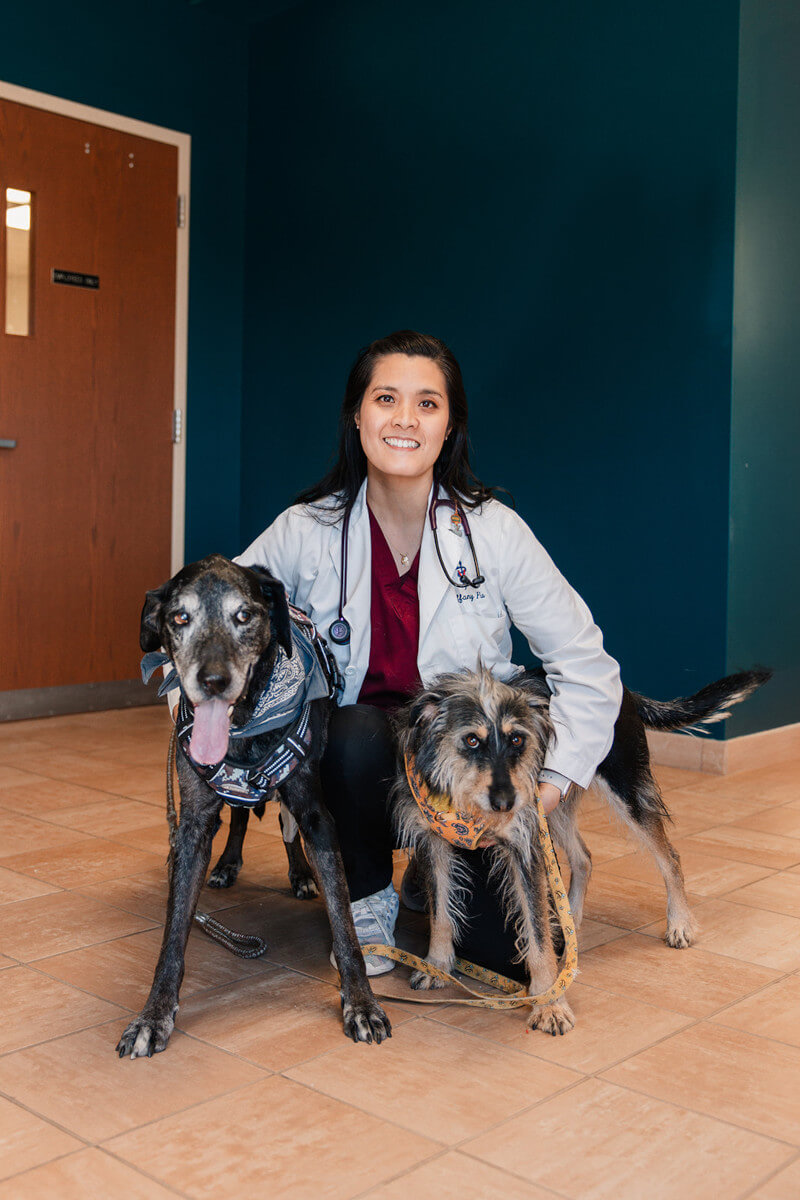 One of our vets with two dogs